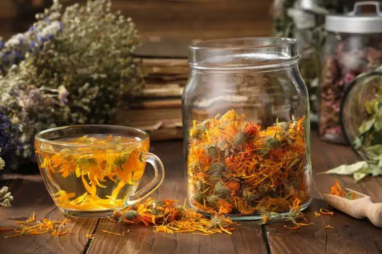 infusions comment les accompagner 1