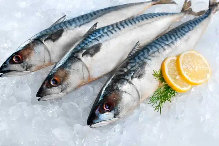 poisson congele depuis 2 ans 1