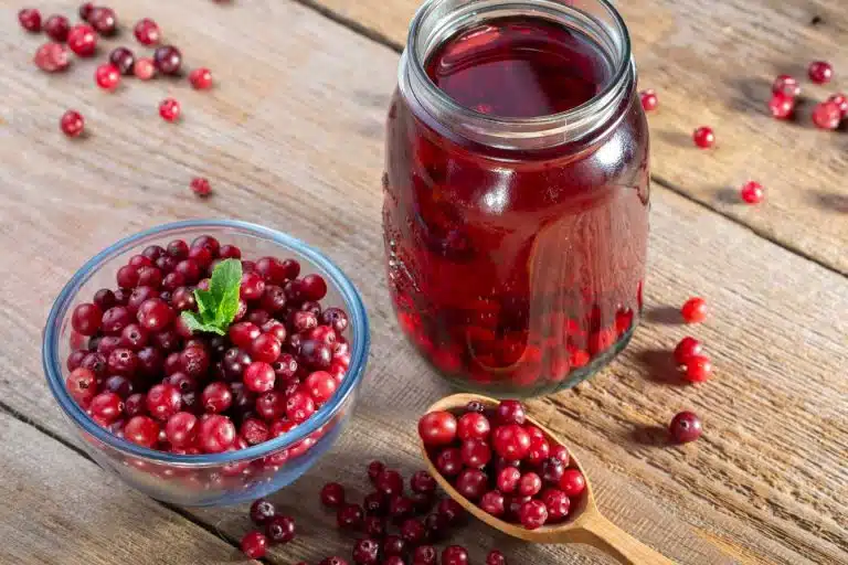 pur jus bio cranberry acerola boostez votre immunite 1