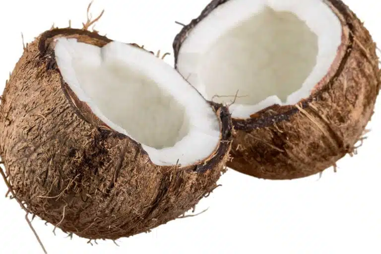 sucre de fleur de coco 1