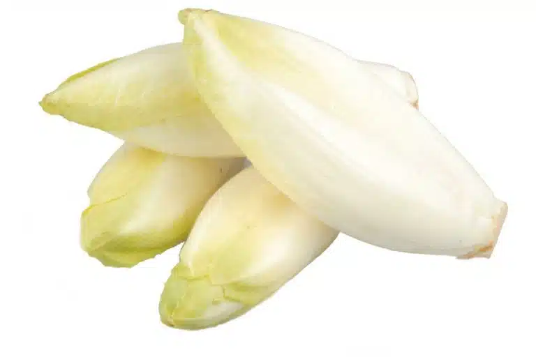 temps de cuisson endives a la vapeur 1